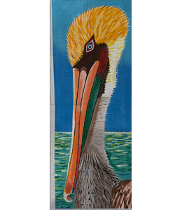 Pelican