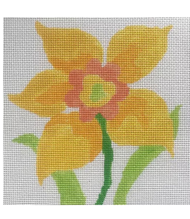 Daffodil
