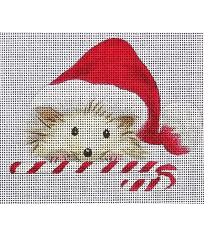 Hedgehog With Candy Cane