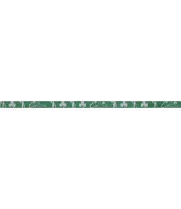 Celtics Belt