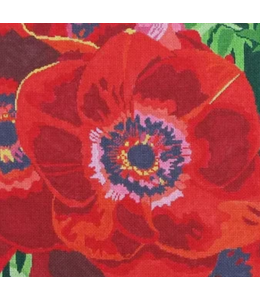 Red Anemone