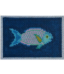 Parrot Fish on Navy