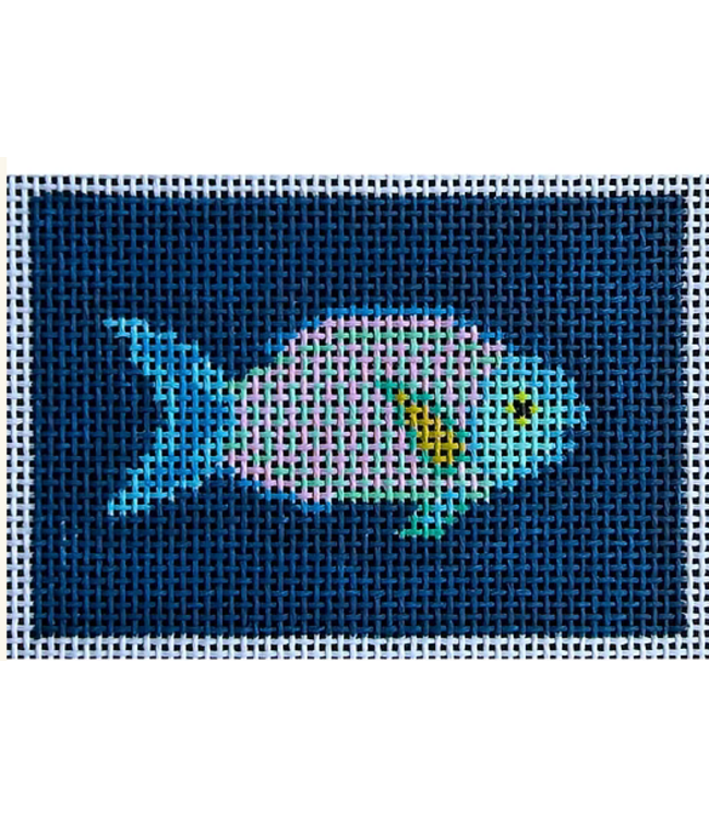 Parrot Fish on Navy
