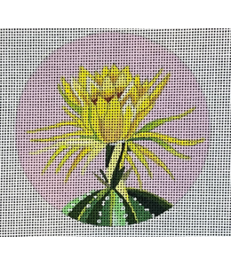 Yellow Flower