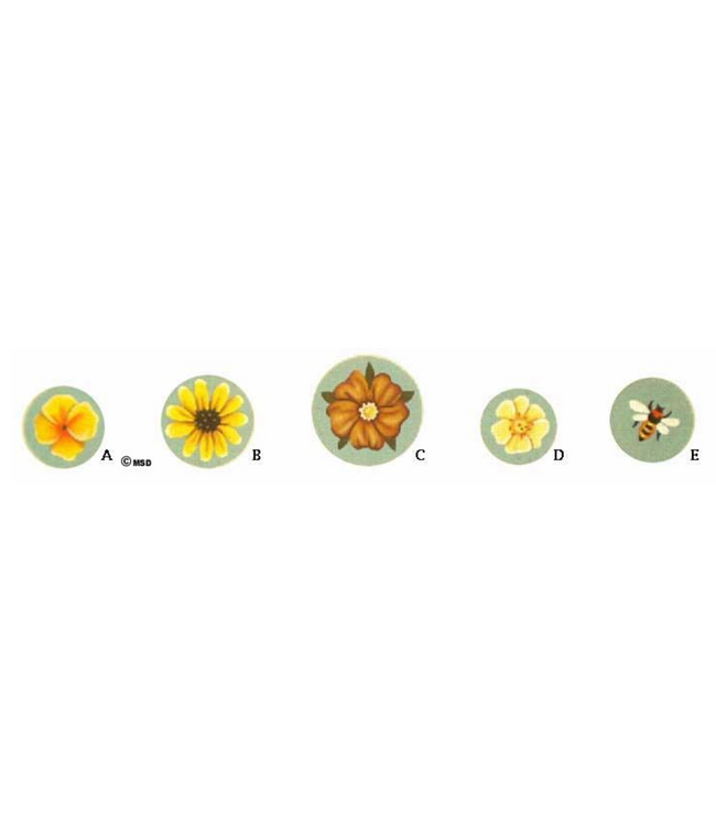 Yellow Flower Set