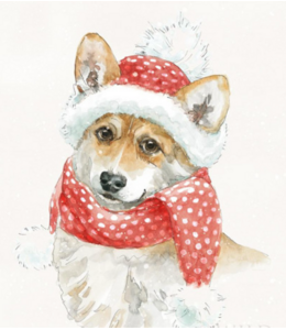 Winter Paws