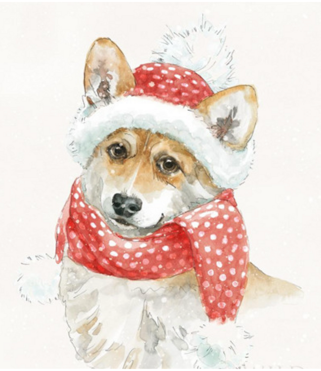 Winter Paws