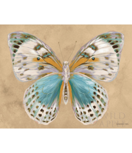 Butterfly IV