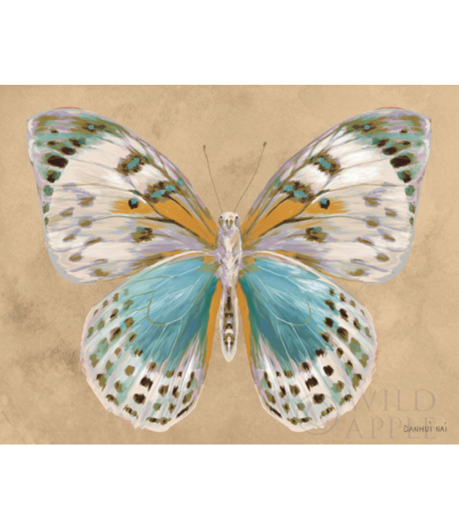 Butterfly IV