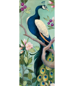 Pretty Peacock 1