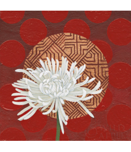 Morning Chrysanthemum