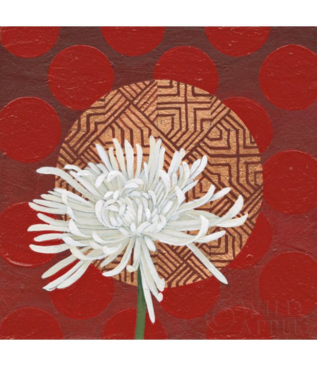 Morning Chrysanthemum