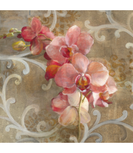 Pink Orchid