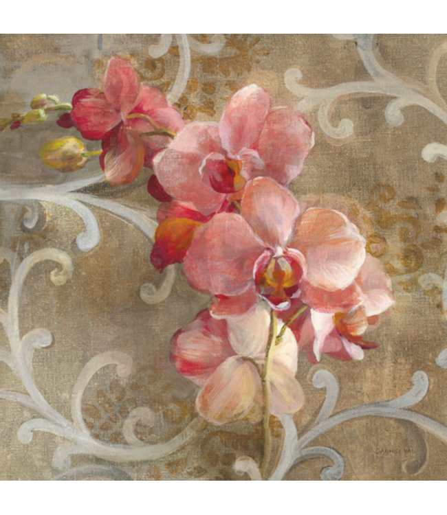 Pink Orchid
