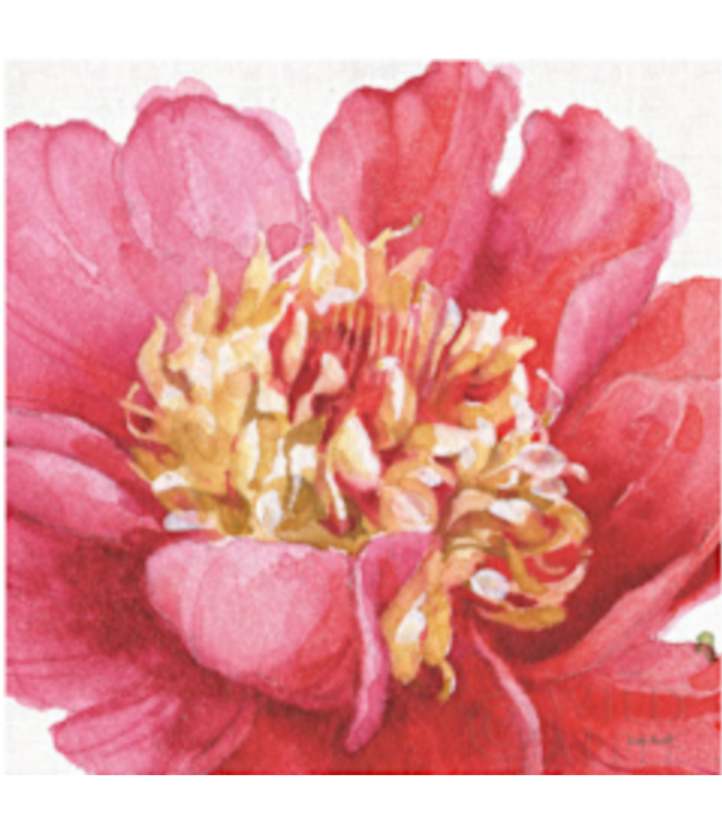Pink Garden 13 Count