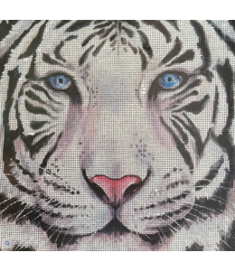 Siberian Tiger Face