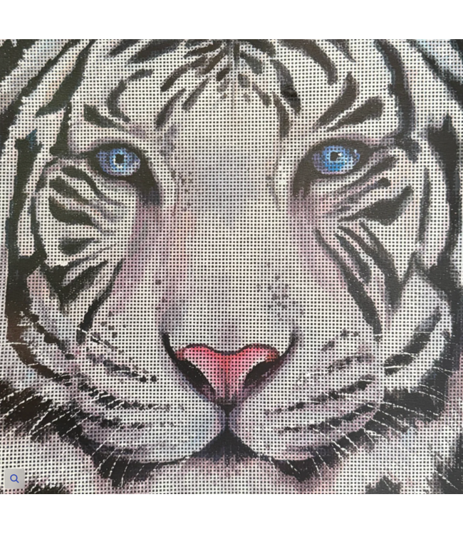 Siberian Tiger Face