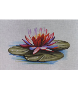 Flower on Lily Pad