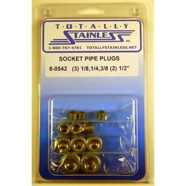 Totally Stainless Stainless Socket Pipe Plugs 1/8 thru 1/2 NPT