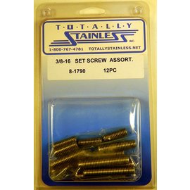 Totally Stainless Totally Stainless 3/8-16 Stainless Set Screw Assortment - 8-1790