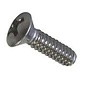 Totally Stainless 1/4-20 x 3/4" Stainless Phillips Oval Head Bolts