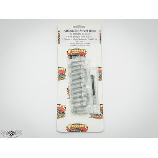 Totally Stainless Total Loc 3/8-16 x 1" 12 Point Locking Header Bolts (16 Count) - 6-5584