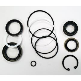 Borgeson Power Steering Seal Kit - SK800P