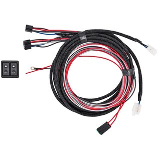 Nu-Relics Black Illuminated Switches with Wire Harness for Console Placement - 206