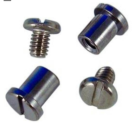 Vintique, Inc. 1928-32 Ford Windshield Pivot Nut & Bolt Set - A-45475-SS