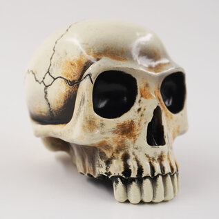 Van Chase Richard Cranium Shift Knob by Van Chase