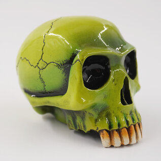 Van Chase Richard Cranium Shift Knob by Van Chase