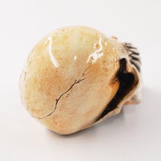 Van Chase McPhail Long Skull Shift Knob by Van Chase