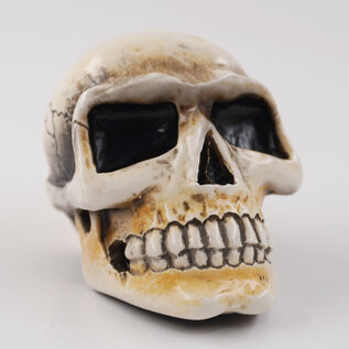 Van Chase Small Skull Shift Knob by Van Chase