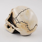 Van Chase Small Skull Shift Knob by Van Chase