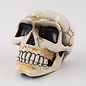 Van Chase Small Skull Shift Knob by Van Chase