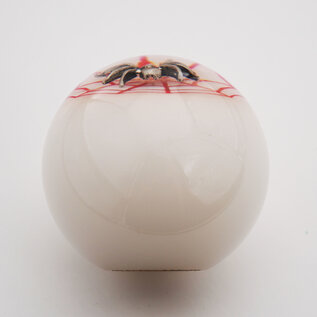 Affordable Street Rods Spider Embedment in a White Knob with Red Spider Web - 2 1/8" knob with a 16mm x 1.50 brass insert
