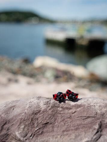 Lady Bug Studs