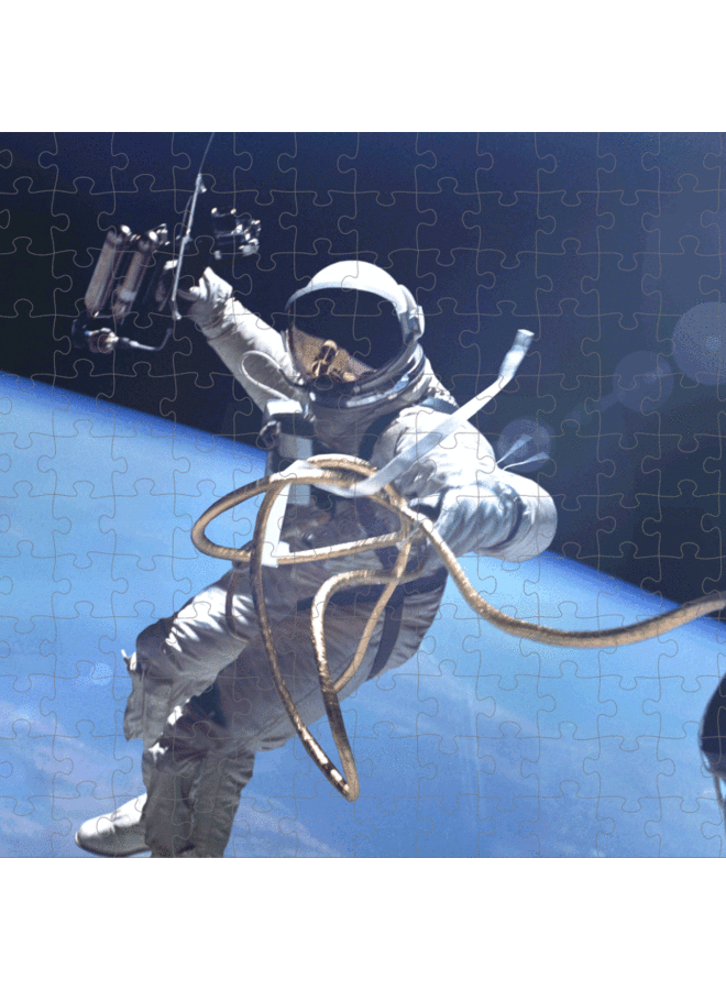 Astronaut Motion Puzzle
