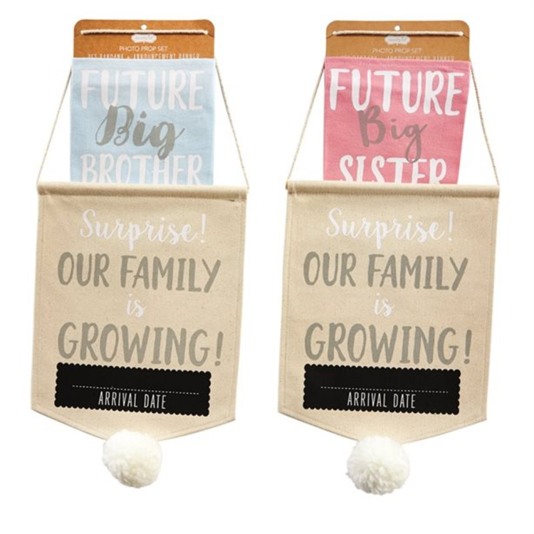 Pet Prop Announcement