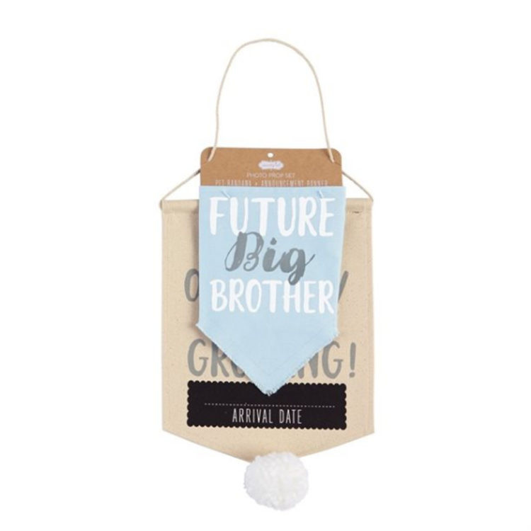 Pet Prop Announcement