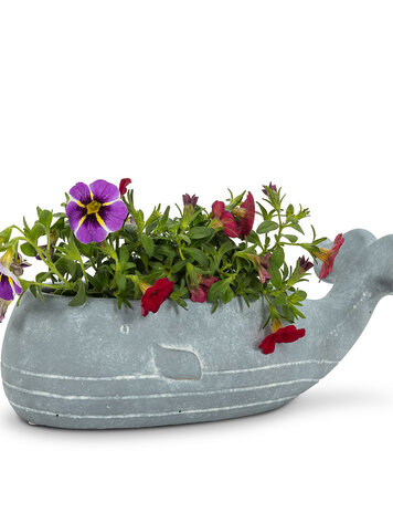 Small Whale Low Planter