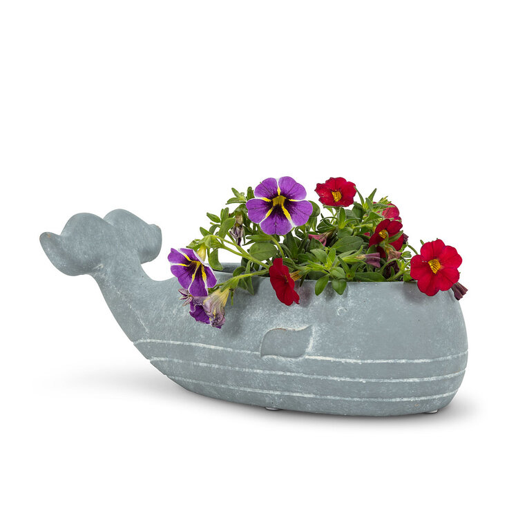 Small Whale Low Planter