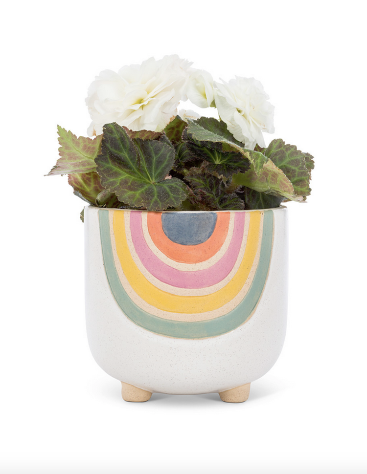 Large Rainbow Planter with Legs