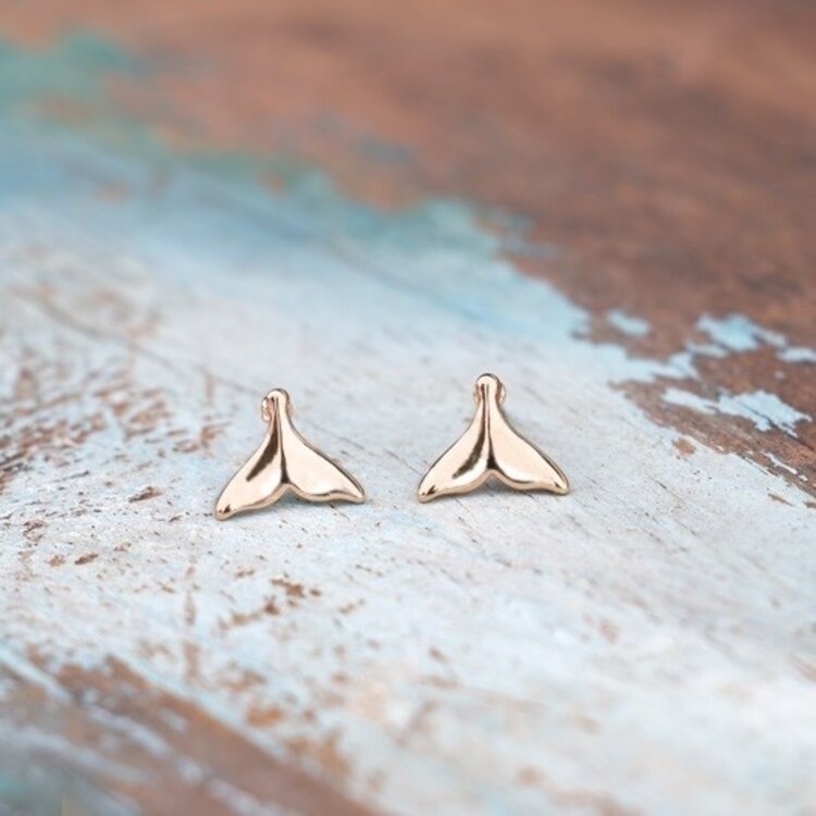 Orca Studs