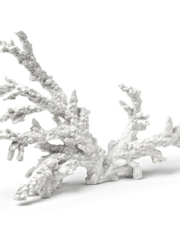 White Large Coral Branch