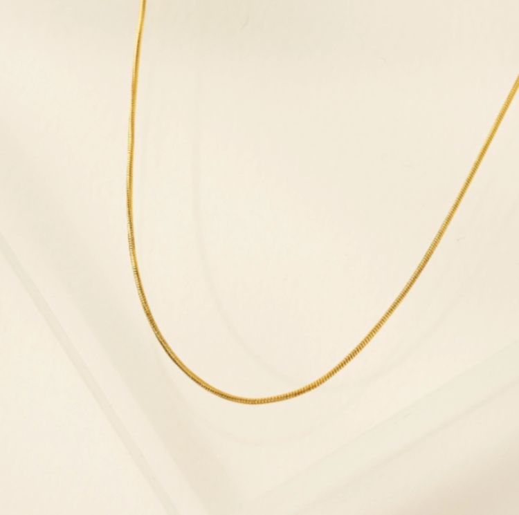 Snake Chain Gold-Filled Necklace