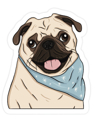 Charlie the Pug Scarf  Sticker