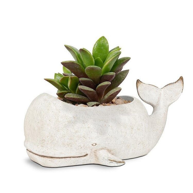 Large Grey Whale Planter