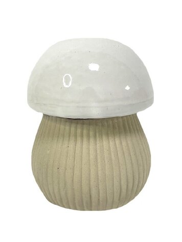 Mushroom Container Medium