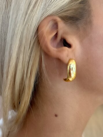 Wave Earrings